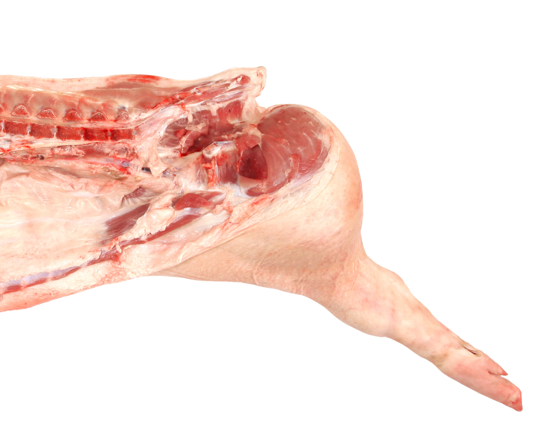 smile-meat-image