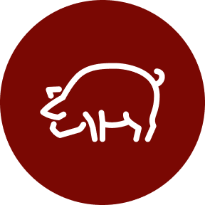 smile-meat-image