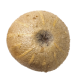 smile-meat-image