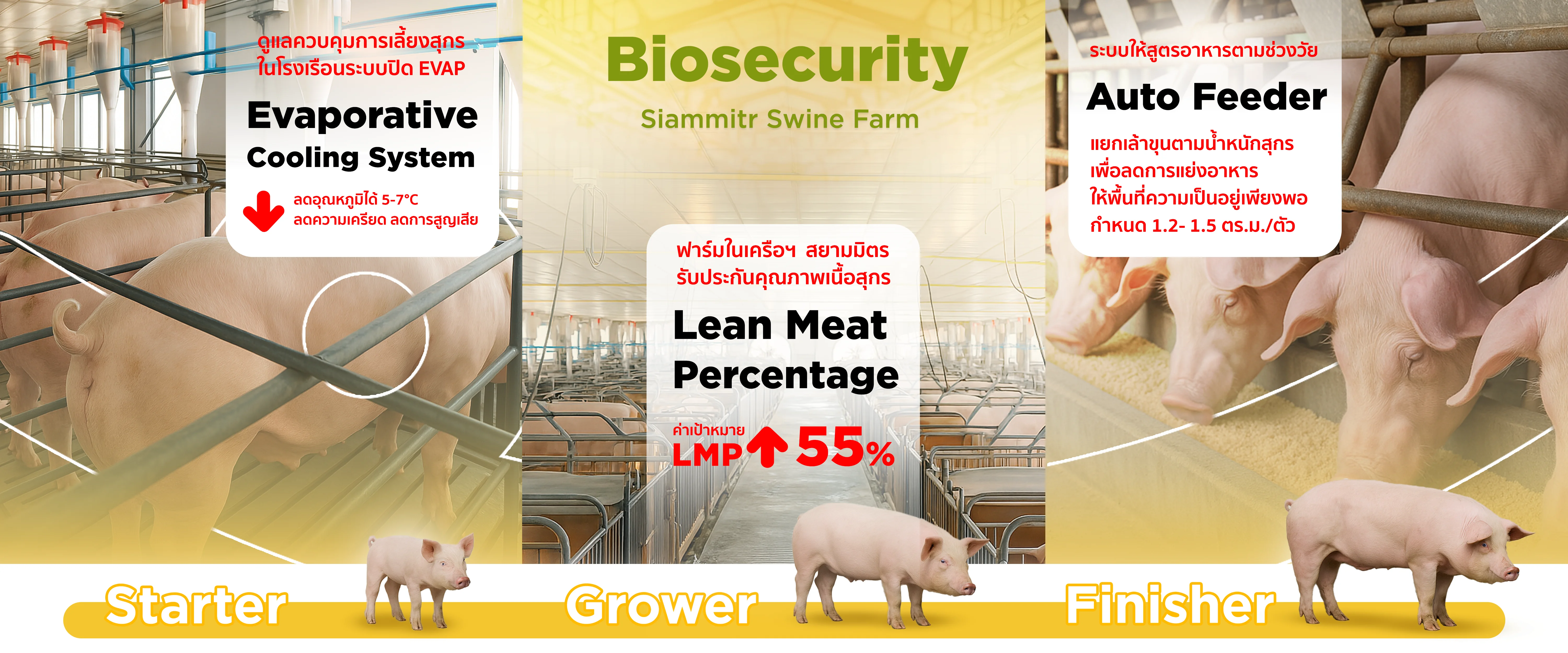 smile-meat-image