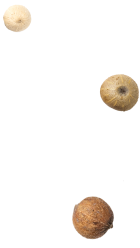smile-meat-image