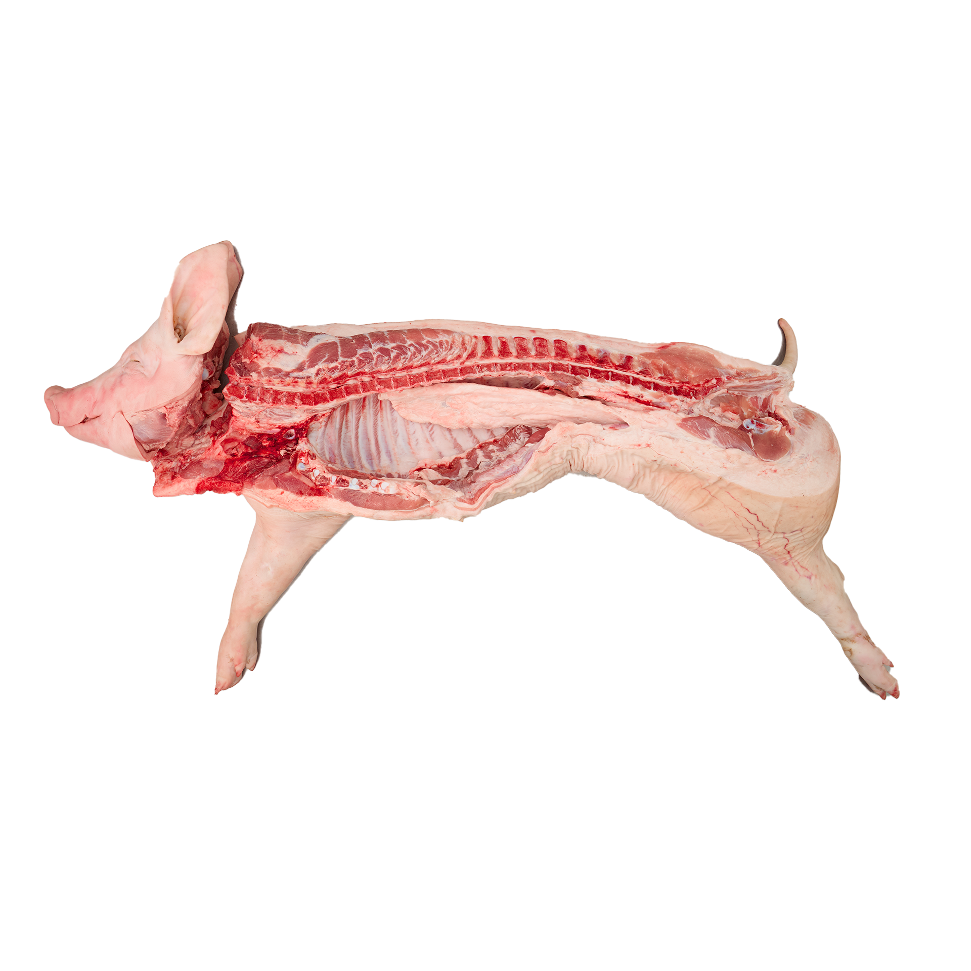 หมูซีก หัว