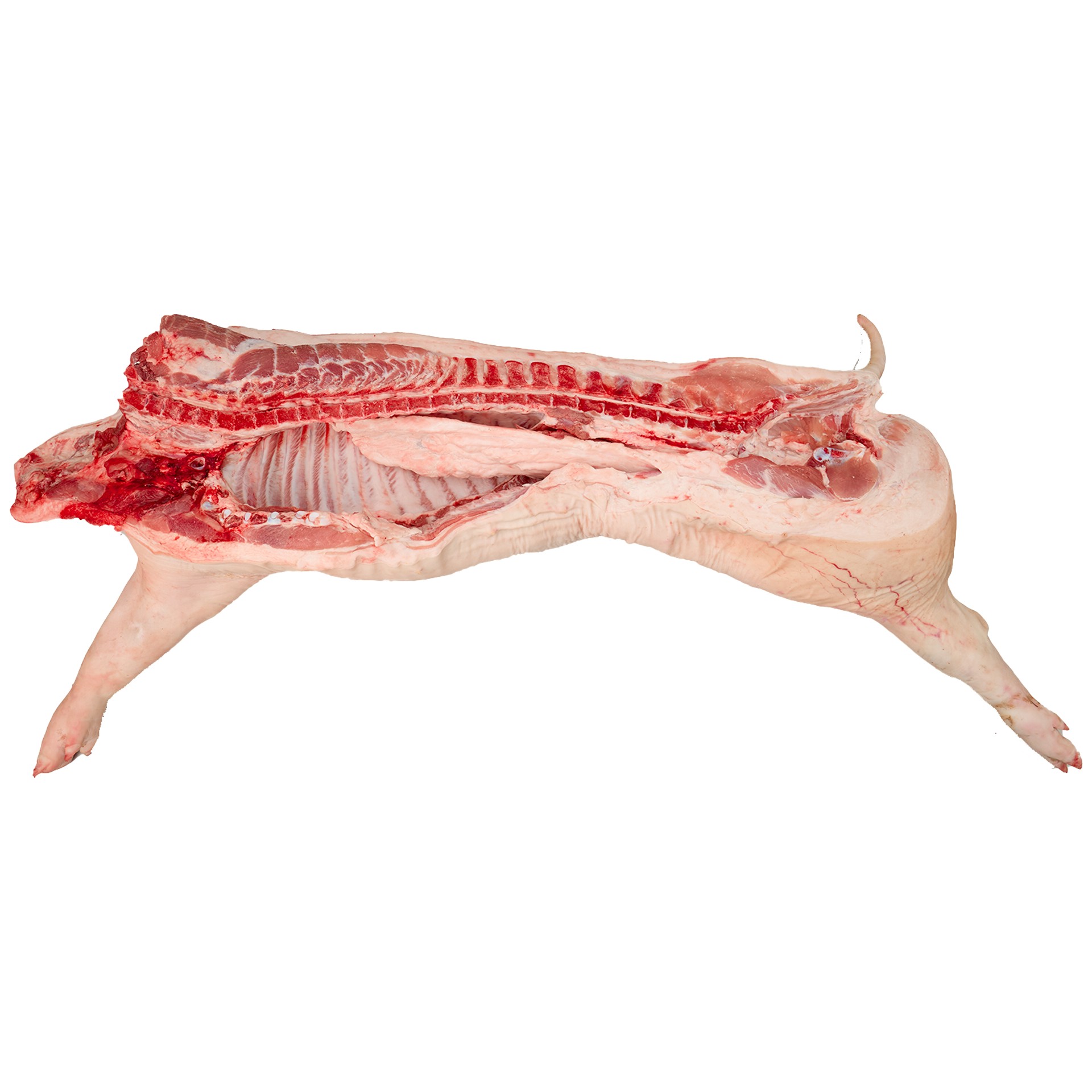 หมูซีก