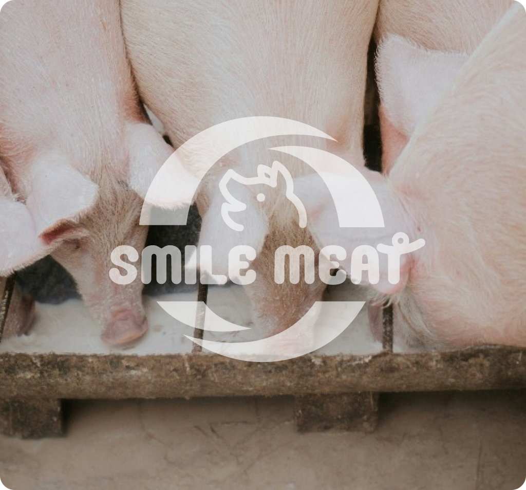 ชวนรู้จักเนื้อหมูปลอดสาร เนื้อหมูอนามัย และเนื้อหมูเลี้ยงปล่อยทุ่ง